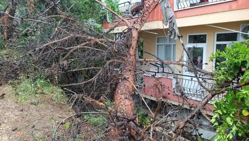 Şiddetli Yağışlar Sonrası Binanın Çöküşü: Kentte Büyük Panik!