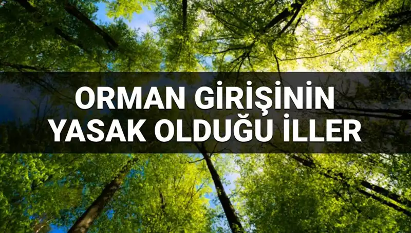 2025 Yılında Hangi İllerde Orman Girişi Yasaklanacak?