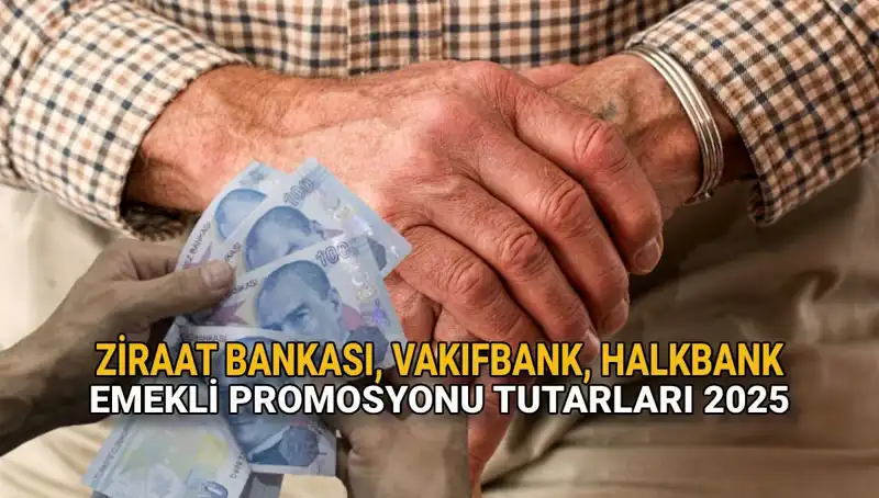 2025 Emekli Promosyonları: Kamu Bankaları Rekabeti Kızışıyor!