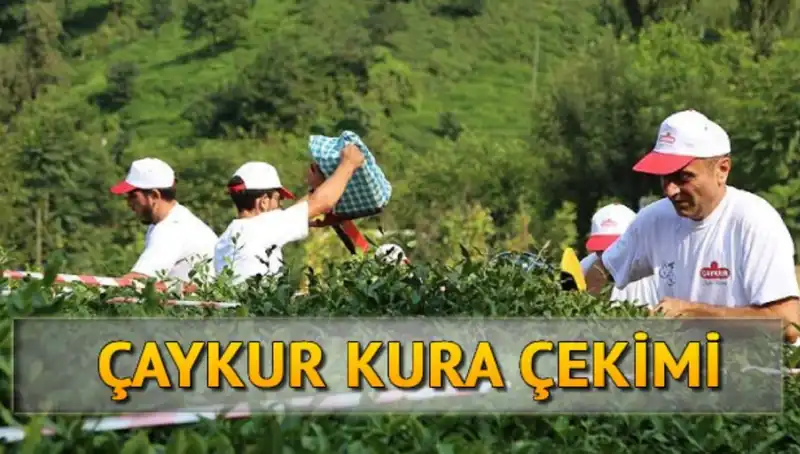 Çaykur Canlı Kura Sayfası ile Kura İsim Listeleme Kolaylaştı