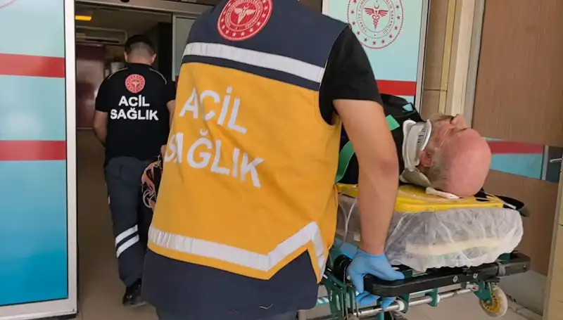 İş Kazasında Acı Son: Kerestenin Altında Kalan İşçi Hayatını Kaybetti