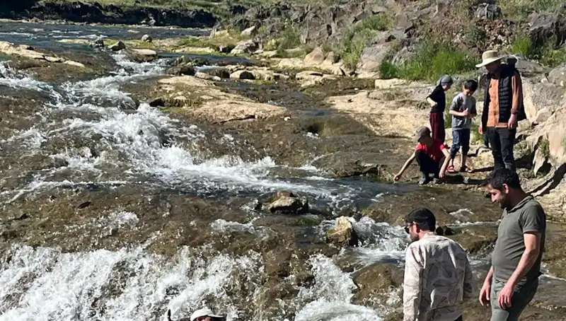 İnci Kefalinin Büyüleyici Göçü: Doğa Tutkunları Burada Toplandılar