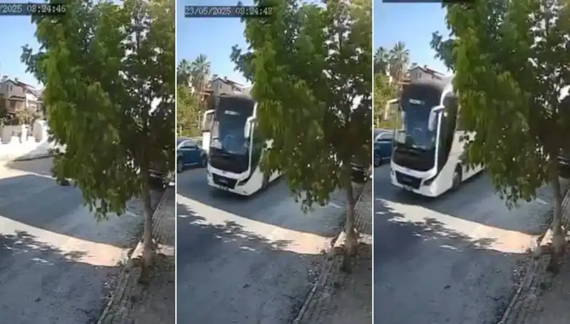 Yolda Yatan Köpeği Ezerek Geçen Sürücü Tepki Topladı