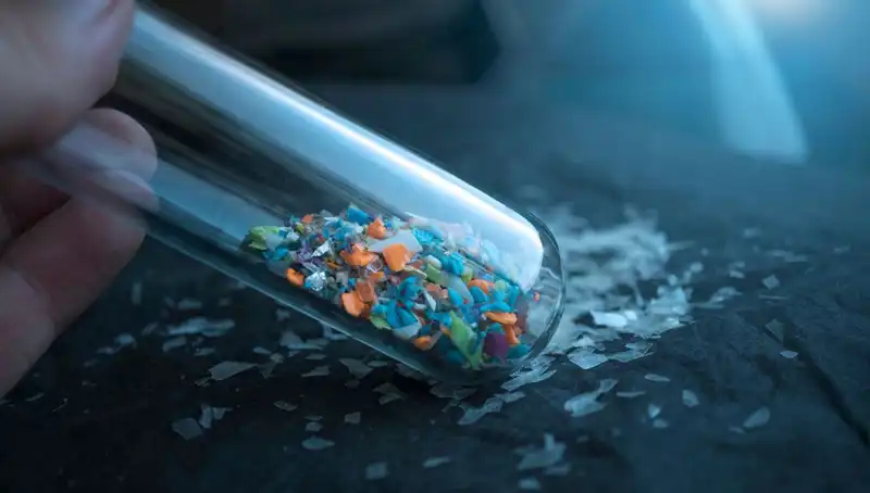 Mikroplastikler, İnsan Beyninde Gizli Tehdit Oluşturuyor: Etkileri Neler?
