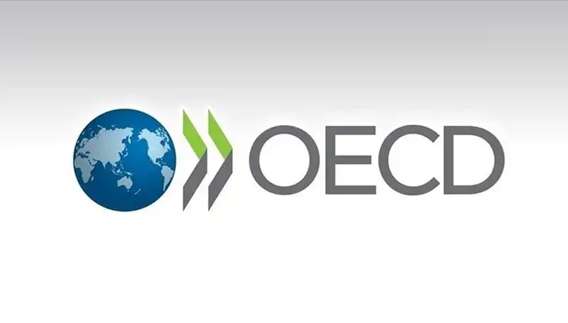 OECD, Türkiye'nin Ekonomik Büyüme Tahminini Yeniden Değerlendirdi