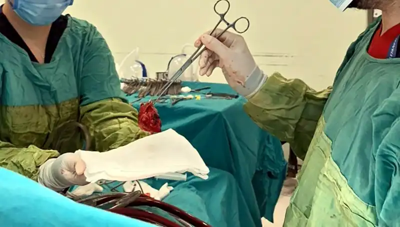 Kalp Kapağı Çürüyen Hasta, 7 Saatlik Ameliyatla Yeniden Hayata Döndü