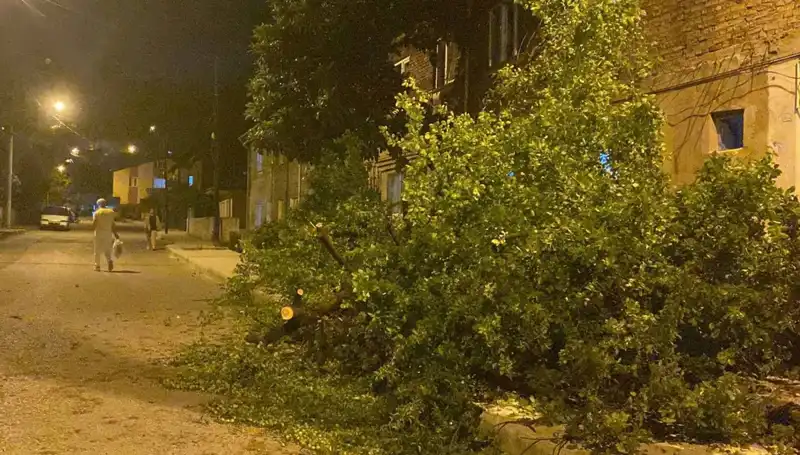 Karabük'te Fırtına Sonrası Zararın Boyutu Gün Yüzüne Çıktı