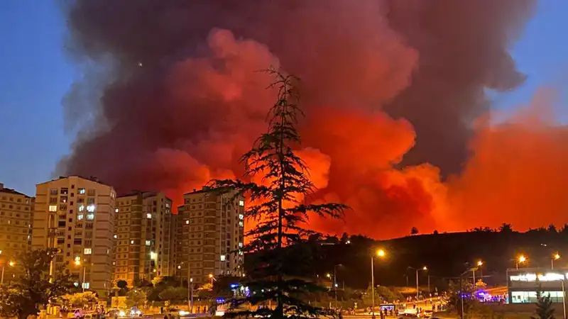 Bursa’da Yangın Alarmı: Şehir Yangınla Sarsıldı!