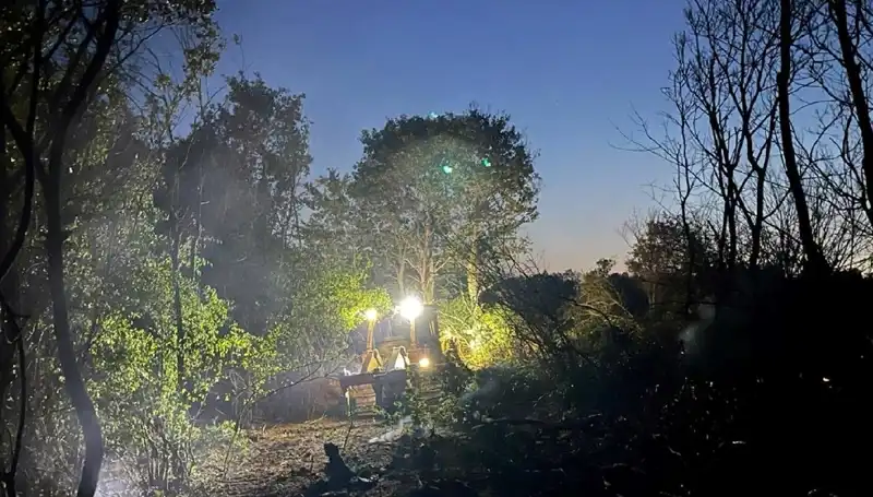 Edirne Orman Yangınında Geri Sayım: Yangın Kısa Sürede Kontrol Altına Alındı