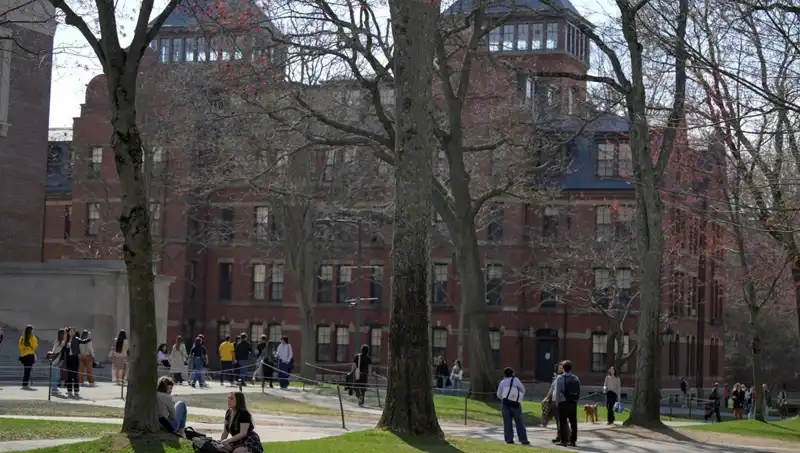 Harvard Üniversitesi Yabancı Öğrenci Kayıt Yetkisini Kaybedebilir, Neler Oluyor?