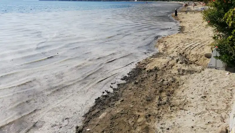 Müsilajla Mücadelede Çarpıcı Adım: 268 İşletme Kapatıldı!
