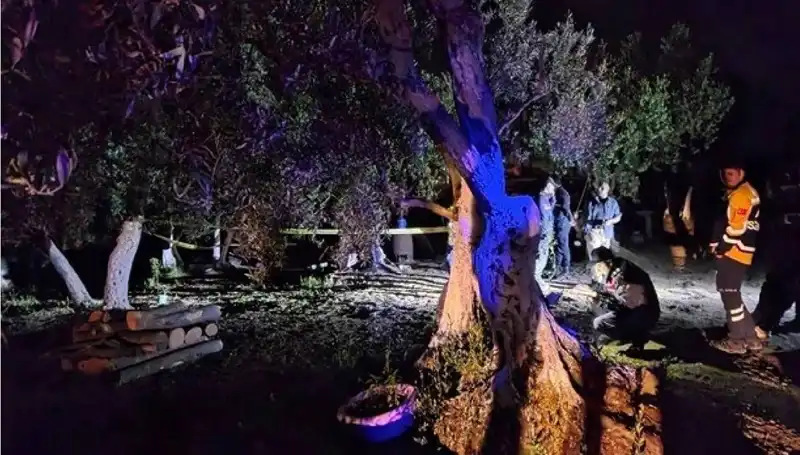 Çiftlikteki Baltalı Vahşet: Canavar Zihin Cezaevine Girdi