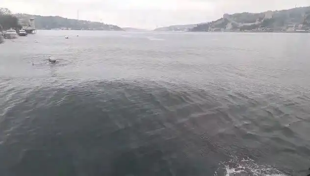 İstanbul Boğazı'nda Dalgaların Yükselişi: Doğa ve Şehir Arasındaki Dans