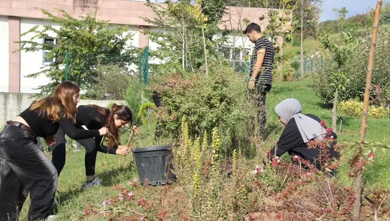 Düzce'nin Hayalini Gerçeğe Dönüştüren Proje: Dünyaya Açılıyor!